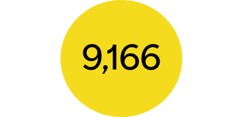 Decorative icon showing number 9,166.