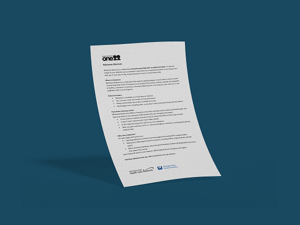 Mockup of After visit summary for the WSHA toolkit.